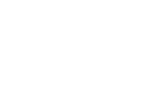 hds logo